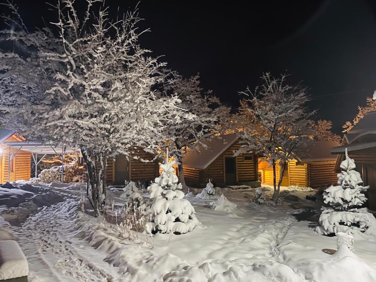 Harsnadzor Eco Resort Halidzor Εξωτερικό φωτογραφία